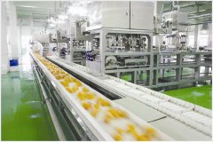 食品GMP凈化車(chē)間建設(shè)詳解 食品GMP凈化車(chē)間建設(shè)詳解