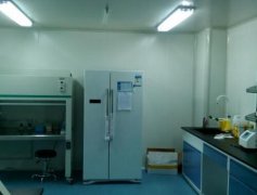 �����ҵ���Ҫ�������Щ